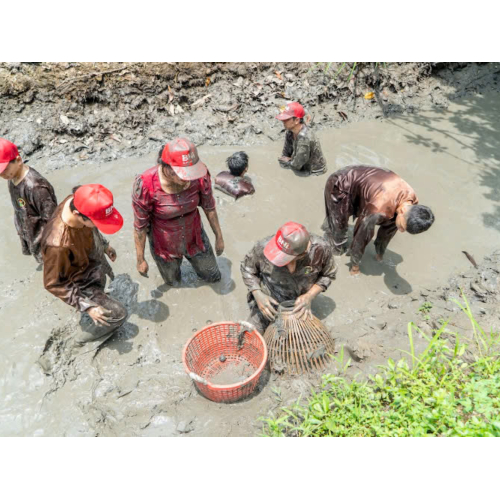 Team Building – Hoạt Động Gắn Kết